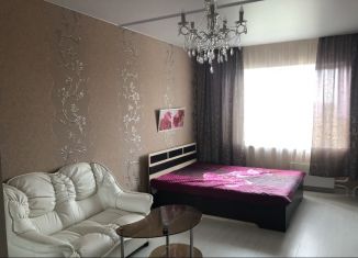 1-комнатная квартира в аренду, 42 м2, Псковская область, Владимирская улица, 11В