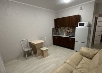 Сдам двухкомнатную квартиру, 40 м2, Новосибирск, Заречная улица, 55
