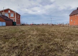 Продажа земельного участка, 10 сот., деревня Шинерпоси, Восточная улица, 4