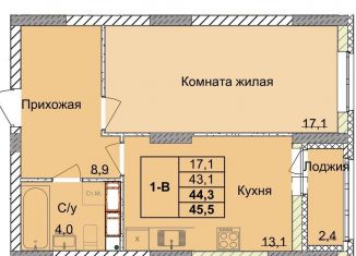 Продам однокомнатную квартиру, 44.3 м2, Нижний Новгород, 1-я Оранжерейная улица, 24А, Советский район