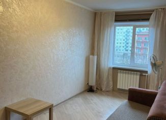 Аренда 3-комнатной квартиры, 65 м2, Санкт-Петербург, проспект Шаумяна, 43