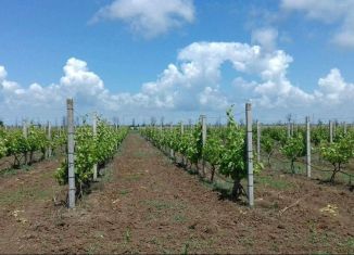 Участок на продажу, 7800 сот., село Владимировка