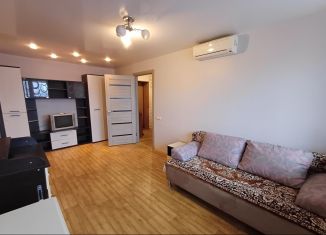 Аренда двухкомнатной квартиры, 41.2 м2, Нижегородская область, улица Чапаева, 55