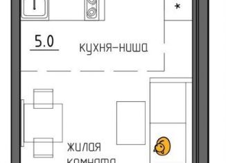 Продажа квартиры студии, 21.9 м2, Пермский край, Ижевская улица, 38