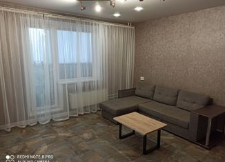 Сдача в аренду 1-комнатной квартиры, 36 м2, Челябинск, Набережная улица, 5А