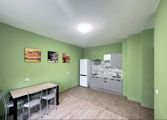 1-комнатная квартира в аренду, 37 м2, Ленинградская область, Петровский бульвар, 25