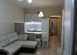 Квартира в аренду студия, 24 м2, Краснодар, улица Стасова, 10, микрорайон Черемушки