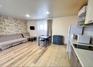 Сдам квартиру студию, 30 м2, Сочи, Привокзальная улица, 4, микрорайон Голубые Дали