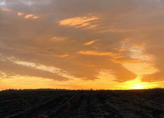 Продается земельный участок, 100 сот., деревня Раскаты, Центральная улица