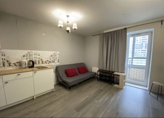 Продам квартиру студию, 26.5 м2, Санкт-Петербург, Пулковское шоссе, 42к6, Пулковское шоссе