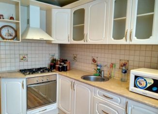 1-ком. квартира в аренду, 40 м2, Тихвин, микрорайон 1А, 49