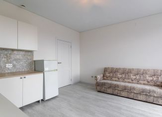 Сдается квартира студия, 23 м2, посёлок Шушары, Колпинское шоссе, 129