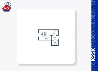 Продам 1-комнатную квартиру, 29.8 м2, Киров, улица Анжелия Михеева, 5