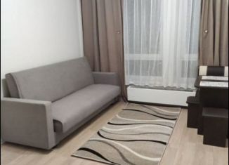 Аренда квартиры студии, 20.3 м2, Зеленоград, Георгиевский проспект, 33к2