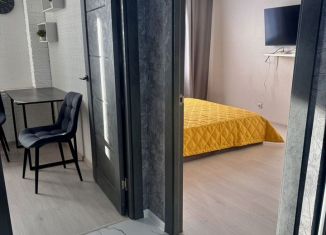 1-комнатная квартира в аренду, 33 м2, Череповец, улица Монтклер