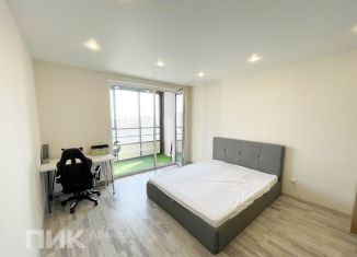 Сдается в аренду квартира студия, 25 м2, посёлок Шушары, Новгородский проспект, 2к3