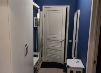 Сдача в аренду 2-комнатной квартиры, 59 м2, Москва, Первомайская улица, 107А, район Восточное Измайлово