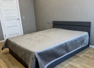 1-ком. квартира в аренду, 40 м2, Благовещенск, Заводская улица, 2/3, ЖК Лазурный Берег