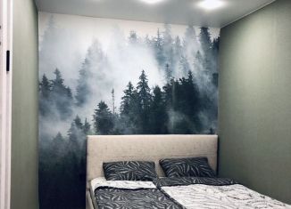 Сдача в аренду 2-комнатной квартиры, 46 м2, поселок городского типа Шерегеш, улица Дзержинского, 13