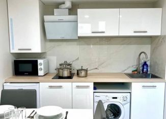 1-комнатная квартира в аренду, 56 м2, село Варваровка, улица Калинина, 150к11, ЖК Резиденция Анаполис