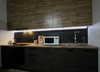 Сдам в аренду 2-комнатную квартиру, 61.8 м2, Воронеж, Донбасская улица, 25к1, ЖК Современник