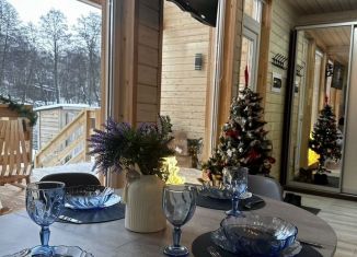 Сдается в аренду дом, 126 м2, деревня Минаево, коттеджный посёлок Минаево, 341