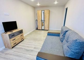 Сдается однокомнатная квартира, 34 м2, Тула, Одоевское шоссе