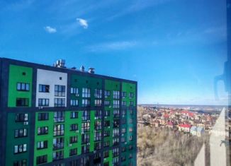 Продаю квартиру студию, 24.6 м2, Нижний Новгород, ЖК Подкова на Родионова, улица Родионова, 202/2