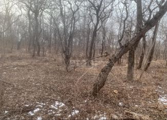 Продам участок, 1506 сот., село Береговое