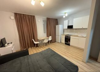 Квартира в аренду студия, 29 м2, Екатеринбург, улица Академика Парина, 45