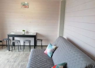 Сдается дом, 54 м2, деревня Куркут