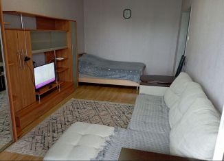 Аренда 1-ком. квартиры, 37 м2, Карелия, улица Древлянка, 1