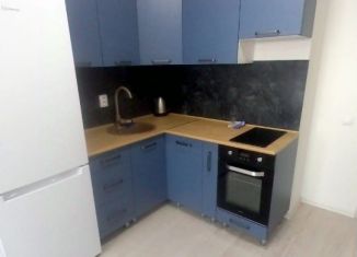 Сдается в аренду квартира студия, 26 м2, Екатеринбург, Советская улица, 62Б