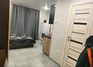 Квартира в аренду студия, 20 м2, Смоленск, улица 100-летия Комсомола, 1