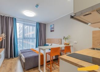 Продажа помещения свободного назначения, 22.1 м2, посёлок Парголово, Толубеевский проезд, 8к2