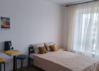 Сдача в аренду квартиры студии, 20 м2, Зеленоград