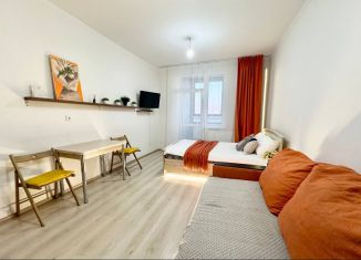 Сдаю квартиру студию, 32.8 м2, Екатеринбург, улица Чапаева, 79