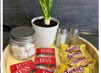 Сдача в аренду квартиры студии, 25 м2, Сыктывкар, Петрозаводская улица, 33/2, район Орбита