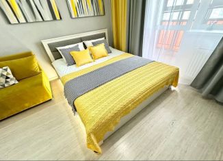 Сдам квартиру студию, 33.3 м2, Екатеринбург, улица Чайковского, 66А