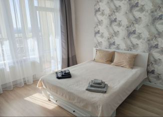 Сдам в аренду квартиру студию, 30 м2, Республика Башкортостан, проспект Дружбы Народов, 57/1