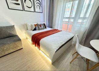 Сдается в аренду квартира студия, 32.8 м2, Екатеринбург, улица Чайковского, 66А