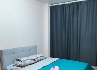 Сдается в аренду 1-комнатная квартира, 30 м2, поселок городского типа Афипский, улица 50 лет Октября