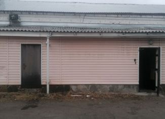 Помещение свободного назначения в аренду, 100 м2, Кыштым, улица Гузынина, 2