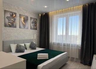 1-комнатная квартира в аренду, 42 м2, Тюмень, улица Республики, 204к7, Ленинский округ