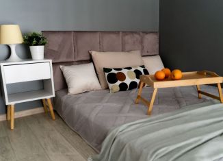 Сдам в аренду квартиру студию, 25 м2, Москва, 2-й Амбулаторный проезд, 8с1