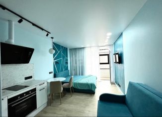 Продается квартира студия, 24.7 м2, Владивосток, Стрелковая улица, 18к1, ЖК Атмосфера