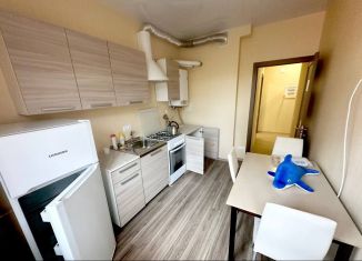 Сдается в аренду 1-комнатная квартира, 38 м2, Сочи, переулок Рахманинова, 45, микрорайон Новый Сочи