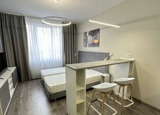 Продам квартиру студию, 24.2 м2, Санкт-Петербург, Витебский проспект, 99к1, муниципальный округ Гагаринское