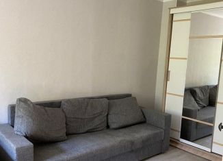 Сдам в аренду двухкомнатную квартиру, 45 м2, Москва, 15-я Парковая улица, 41к1, район Северное Измайлово