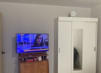 Сдается 1-комнатная квартира, 38 м2, Ростов-на-Дону, улица Тимофеева, 9, ЖК Платовский